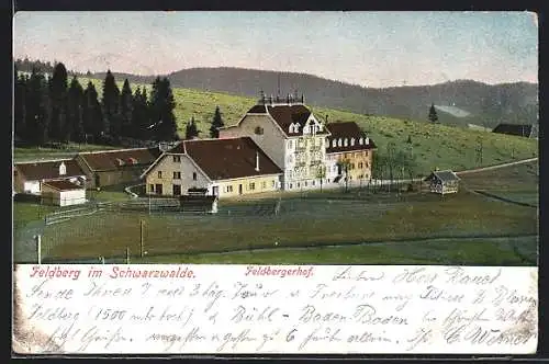 AK Feldberg /Schwarzwald, Hotel Feldbergerhof