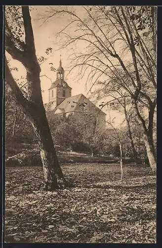 AK Molsdorf, Kirche vom Wald aus
