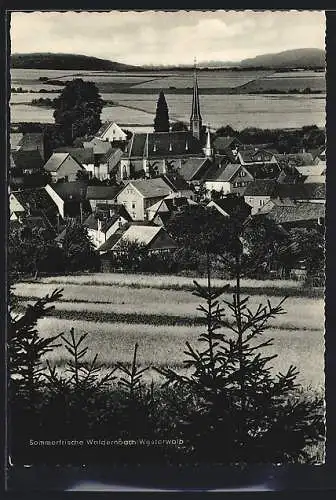 AK Waldernbach /Westerwald, Teilansicht mit Kirche