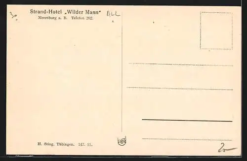 Künstler-AK Meersburg a. B., Strandhotel zum wilden Mann
