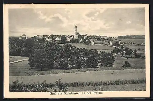 AK Steinhausen /Rottum, Ortsansicht aus der Ferne, mit Landstrasse