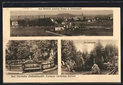 AK Bad Dürrheim /Schwarzwald, Teilansicht, Donauquelle, Neckarquelle