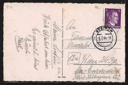 AK Güstrow, Blick auf die Pfarrkirche, Schloss und Rosengarten