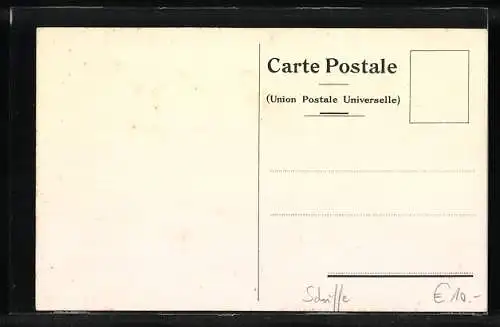 AK Passagierschiff D.D. Nieuw-Amsterdam, Holland-America Line