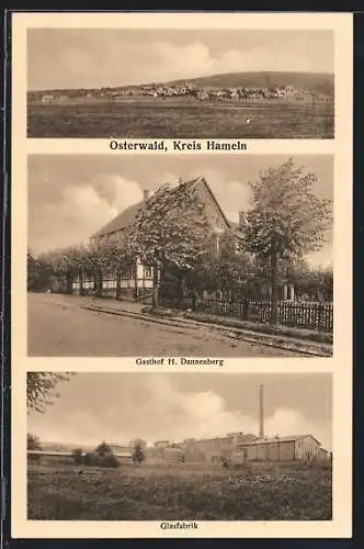 AK Osterwald / Hameln, Gasthof H. Dannenberg, Glasfabrik, Panorama