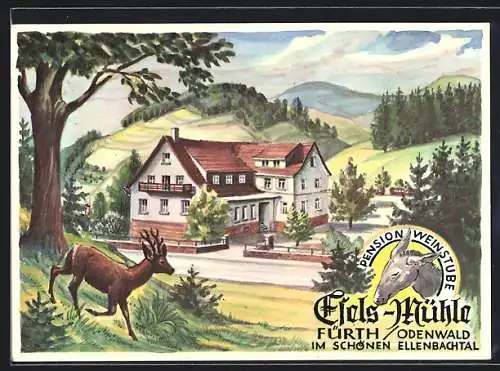 AK Fürth / Odenwald, Pension-Weinstube Eselsmühle im Ellenbachtal