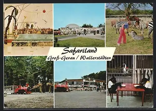 AK Gross-Gerau-Wallerstädten, Tierpark Safariland