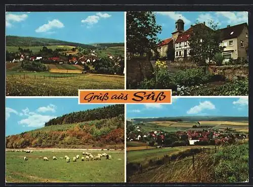 AK Nentershausen / Hess., Ortspartie, Ortsansicht, weidende Schafe