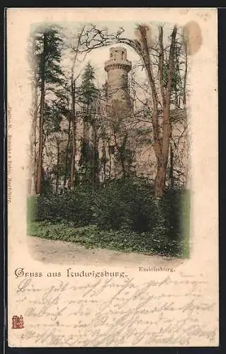 AK Ludwigsburg / Württemberg, Blick zur Emichsburg