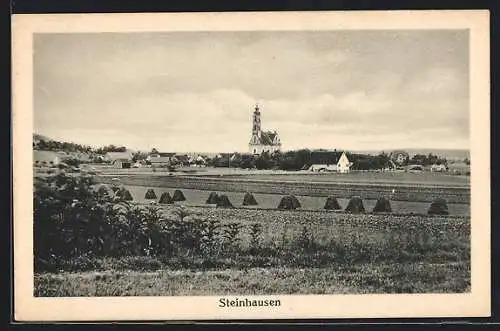 AK Steinhausen / Rottum, Blick auf die Kirche