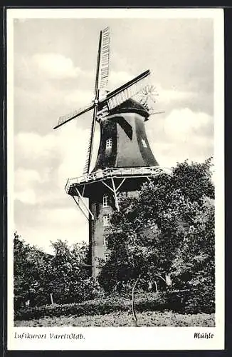 AK Varel / Oldenburg, Blick auf die Windmühle
