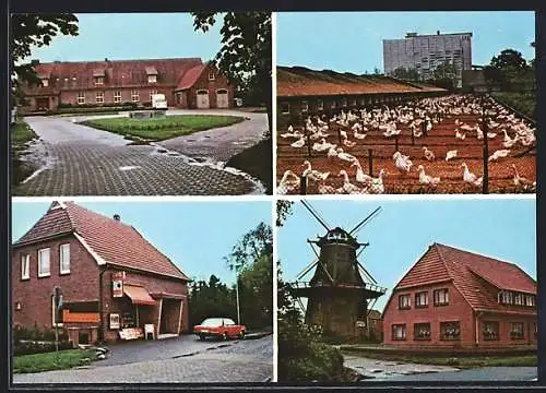 AK Westerscheps, Mühle, Gänsefarm, Gemischtwaren Gerold Meins