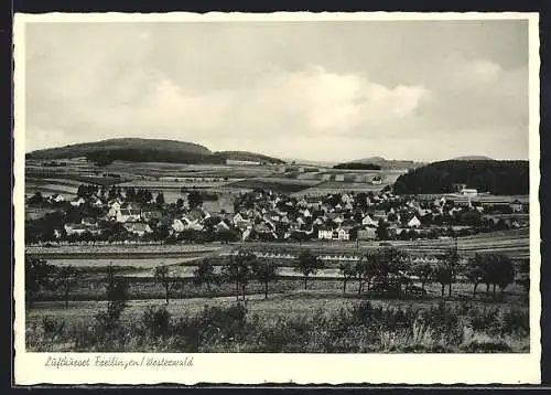 AK Freilingen /Westerwald, Ortsansicht mit Umgebung