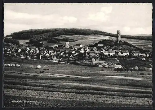 AK Hartenfels /Ww., Ortsansicht mit Burgturm