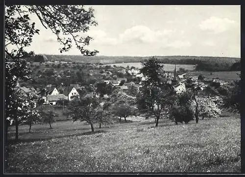 AK Wittershausen, Ortsansicht aus der Ferne