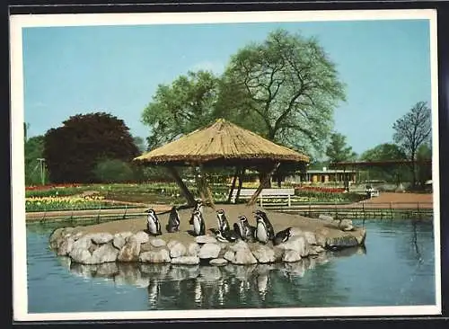 AK Hamburg, Internationale Gartenbau-Ausstellung 1953, Blick auf den Pinguin-Teich