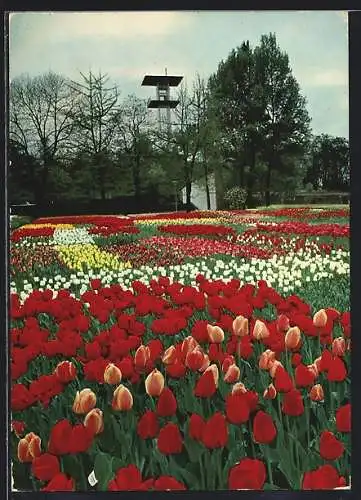 AK Stuttgart, Bundes-Gartenschau 1961, Blumenwiese vor dem Aussichtsturm