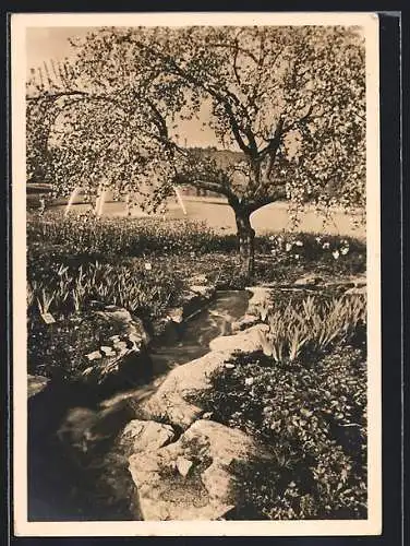 AK Stuttgart, Reichsgartenschau 1939, Im Seengebiet, Ausstellung