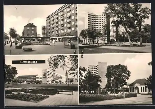 AK Dessau, Hochhäuser am Stadtpark und Wilhelm-Pieck-Strasse