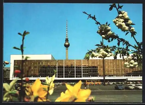 AK Berlin, Palast der Republick