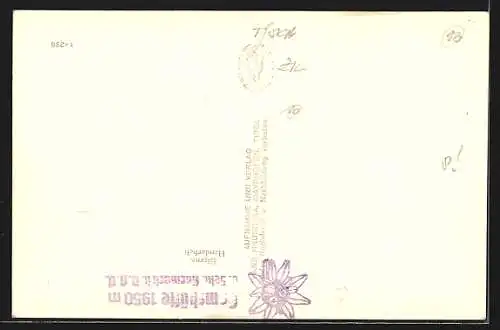 AK Gamshütte, Partie am Grünberg