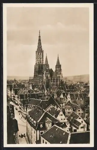 AK Ulm a. D., Münster, Südost-Ansicht