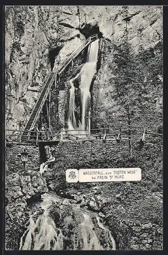 AK Wasserfall zum Todten Weib bei Frein a. Mürz