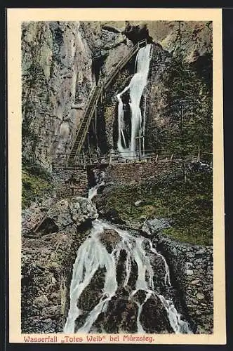 AK Wasserfall Totes Weib bei Mürzsteg