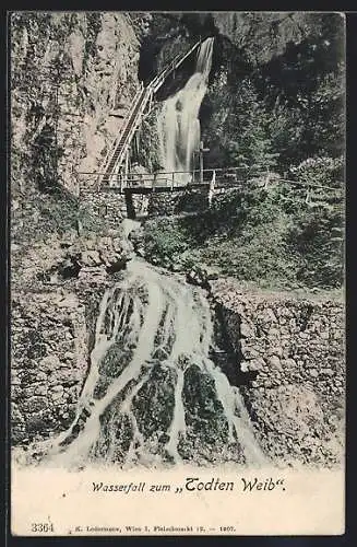 AK Wasserfall zum todten Weib mit Treppe