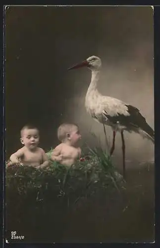 Foto-AK GG Co. Nr. 2381 /2: Ein Storch mit zwei Babys im Nest
