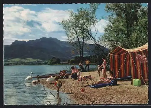 AK Chiemsee, Zeltplatz mit Campenwand