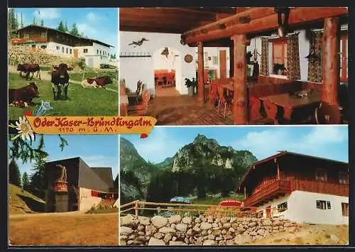 AK Bergen / Chiemgau, Gasthaus Öder-Kaser auf der Bründlingalm, Bes.: Familie Lossen, Seilbahn