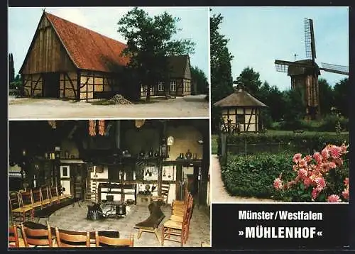 AK Münster /Westf., Freilichtmuseum Mühlenhof mit Bauernhaus und Windmühle