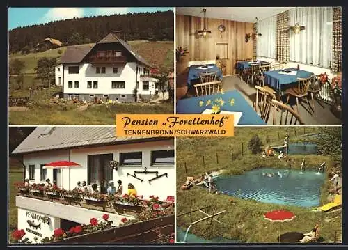 AK Tennenbronn /Schwarzwald, Hotel-Pension Forellenhof