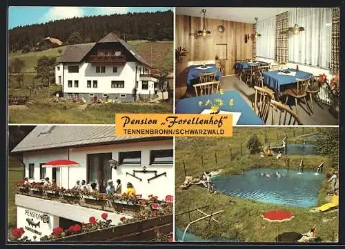 AK Tennenbronn /Schwarzwald, Hotel-Pension Forellenhof, Terrasse, Pool
