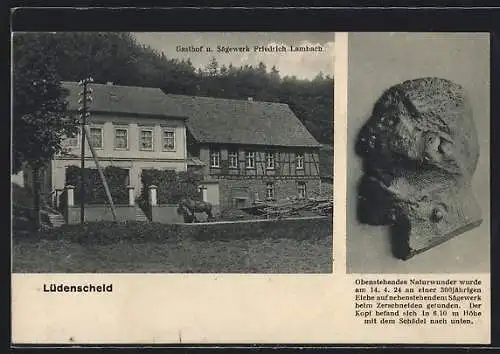 AK Lüdenscheid, Gasthof und Sägewerk Friedrich Lambach