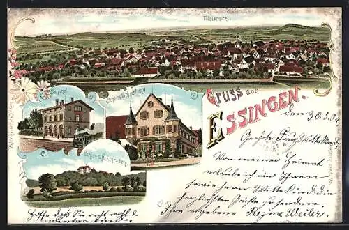 Lithographie Essingen / Württ., Bahnhof, Schloss Schnaitberg, Schloss Hohenroden, Totalansicht