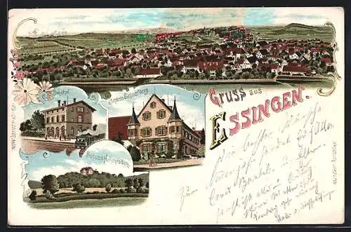 Lithographie Essingen / Württ., Bahnhof, Schloss Schnaitberg, Schloss Hohenroden, Gesamtansicht