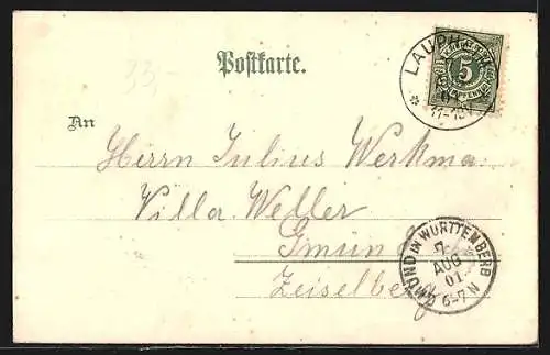Lithographie Laupheim, Totalansicht vom Schloss, Gartenansicht, Königliches Amtsgericht