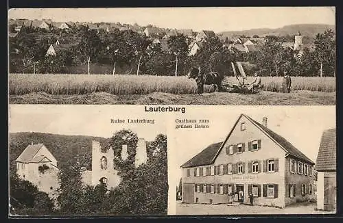AK Lauterburg, Gasthaus zum grünen Baum, Ruine, Ortsansicht mit Bauern bei der Ernte