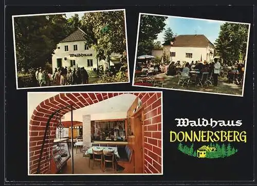 AK Dannenfels, Waldhaus Donnersberg, versch. Ansichten