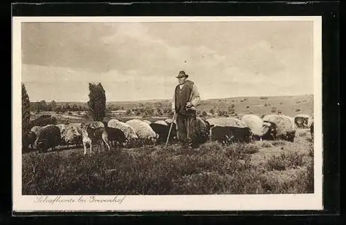 AK Grevenhof, Schafherde mit Schäfer
