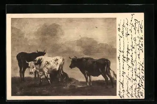 AK Kühe an einem Gewässer