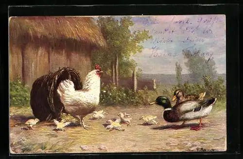 Künstler-AK Huhn mit Küken und ein Entenpaar