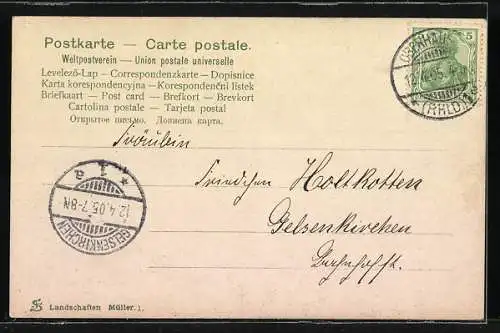 AK Röhrender Hirsch an einem Fluss