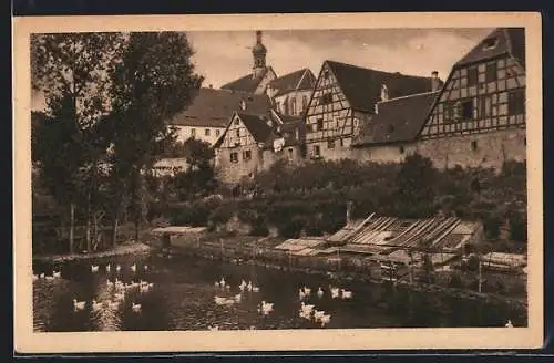 AK Bad Wimpfen, Ortsansicht mit Gänsesee