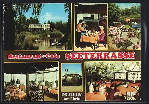AK Ingelheim am Rhein, Mehrfachansicht Restaurant-Café Seeterrasse
