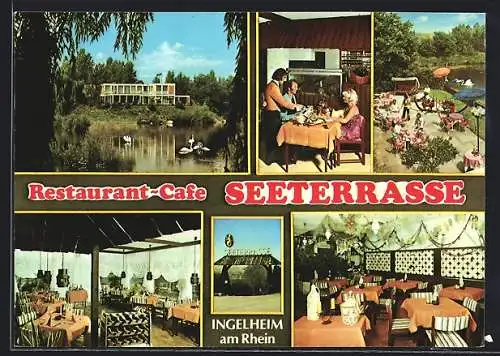 AK Ingelheim am Rhein, Mehrfachansicht Restaurant-Café Seeterrasse