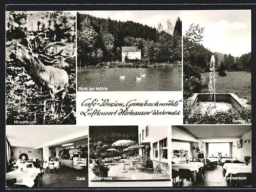 AK Horhausen /Westerwald, Cafe-Pension Grenzbachmühle, Innenansichten Cafe und Speiseraum