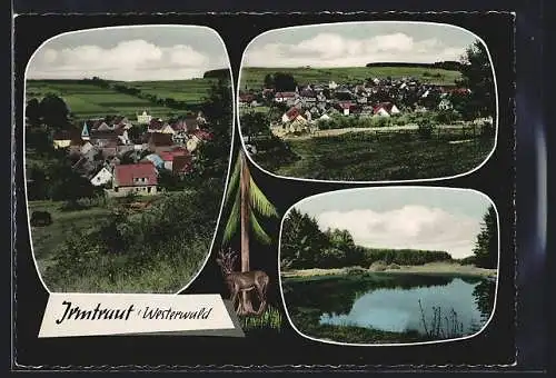 AK Irmtraut /Westerwald, Gesamtansicht, Teilansicht mit Kirche, Uferpartie